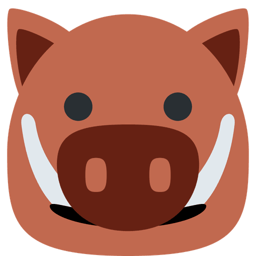 Boar