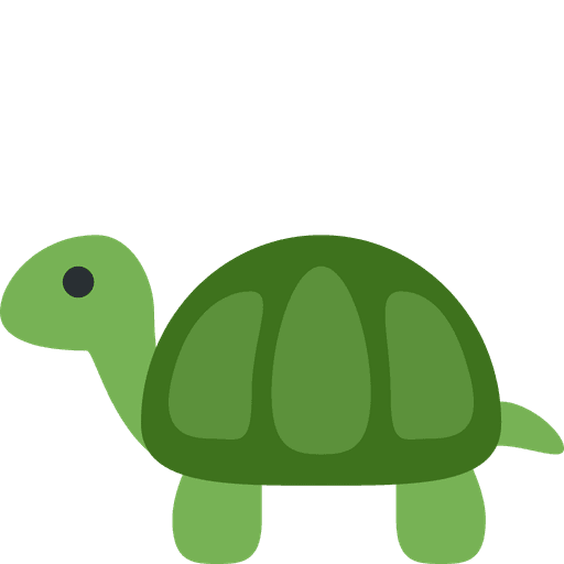 Turtle