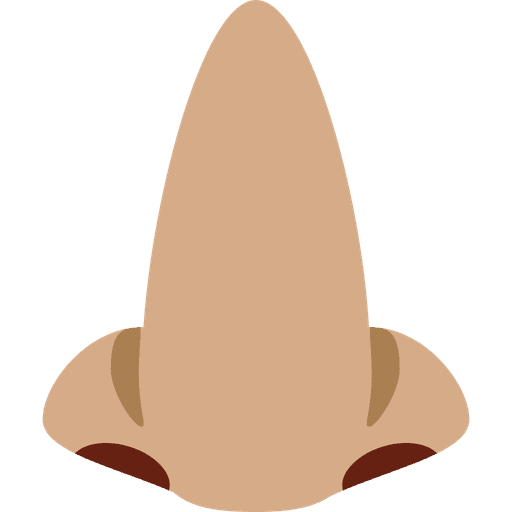 Nose Medium Skin Tone