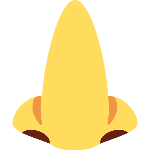 Nose
